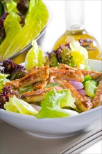 Fresh colorfull sesame chicken salad close up
