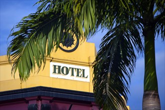 Hotel facade with palm tree