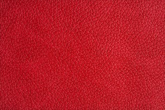Close-up on red leather texture studio shot