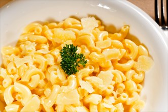 Fresh original american style macaroni and cheese with parsley on top