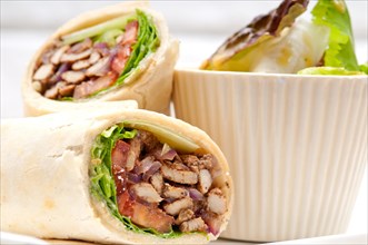 Kafta shawarma chicken pita wrap roll sandwich traditional arab mid east food