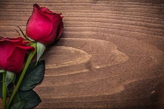 Fragrant red natural roses on wooden board holiday concept