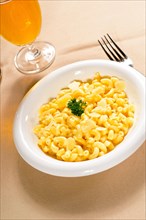 Fresh original american style macaroni and cheese with parsley on top
