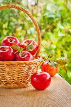Fresh red apples in a bucket on a wooden table in the garden