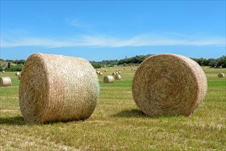 Stacks of straw