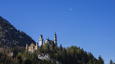 Neuschwanstein Castle