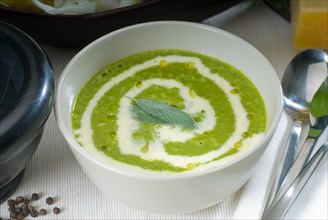 Fresh spinach soup on a white bowl with sage and cream on top