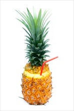 Ripe vivid pineapple with red straw isolated over white background