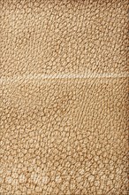 Close-up of the brown leather texture