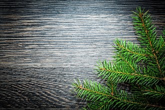 Fir tree branch on dark wood board