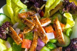Fresh colorfull sesame chicken salad close up