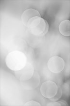 Grey bokeh