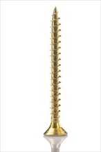 Insulated screw