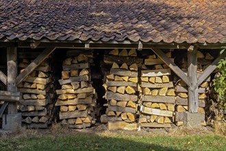 Neatly stacked firewood drying in a roofed