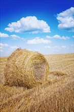 Bale of a straw on harwested field instagram colours