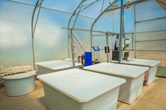 Tanks with pesticides in the greenhouse