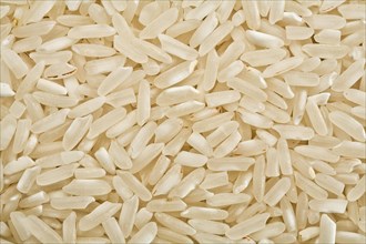 White raw rice background