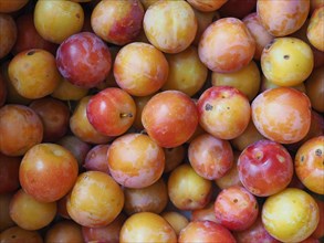 Prune fruit food background