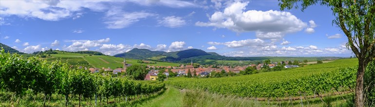 View of Birkweiler