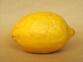 Lemon fruit food
