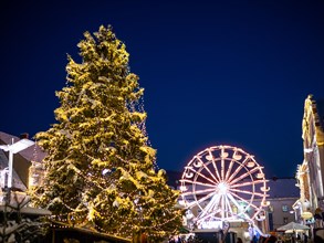 Christmas tree and Ferris wheel