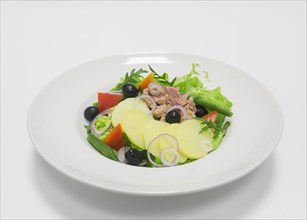 Gourmet salad with roast beef and vegetables. Top view. White background. Healthy eating concept.
