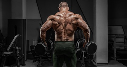 Powerful bodybuilder posing in the gym with dumbbells. No name portrait. Back view. Bodybuilding concept.