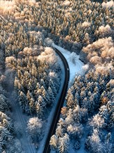 Golden sunlight illuminates a snowy road in a forest