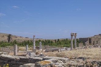 Ruins of the ancient city of Delos