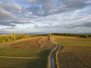 Aerial view of a field path on the Grossauerhoehe in the evening light