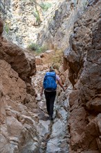 Climber in a narrow canyon with a dry stream bed