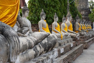 Buddha statues around the Great Chedi Chaya Mongkol
