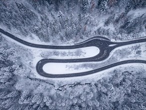 Drone view of a sharp bend in a road surrounded by snow-covered trees