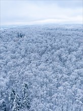 Photographed from the air