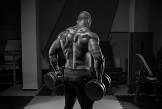 Professional weightlifter is training in the gym. Back exercises. Bodybuilding concept.