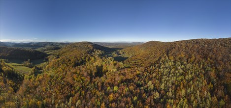 Aerial view of a colourful autumn forest looking towards Holzschlag