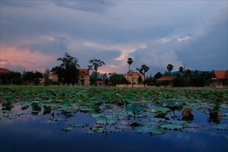Cinematic tranquil scene of Srah Chhouk or Lotus Pond during the dusk