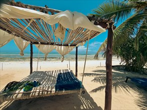 A hammock under a canopy flanked by palm trees invites relaxation on a sunny beach