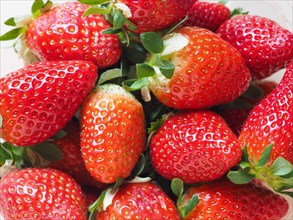Strawberry fruit food