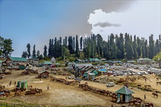 Rural mountain village with a busy market and horses under a bright blue sky in Gulmarg. The scenic valley of Gulmarg is a little piece of paradise cocooned by the mighty snow-clad mountains of the Pi...