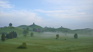 Green moraine hills landscape with meadows and lime trees with morning fog and cloudy sky
