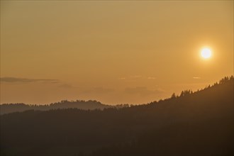 Golden illuminated silhouettes of hills and trees in the sunset