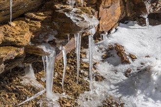Natural ice sculptures created by the wind