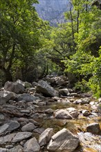 View of the Spelunca gorge with the old bridge of Zaglia in the background