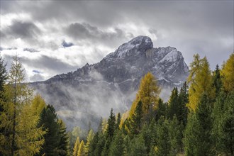 Peitlerkofel and autumnal larch forest