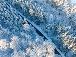The top view of a winter forest with a road shows the beauty of the cold season