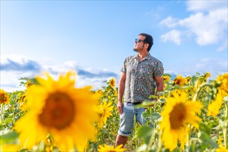 Man with sunglasses among sunflowers in summer