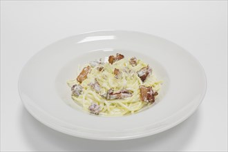 Gourmet carbonara pasta on a white background. Top view.
