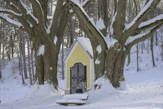 Snow-covered chapel on the Hafnerberg