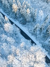 An aerial view shows a road making its way through a snow-covered forest